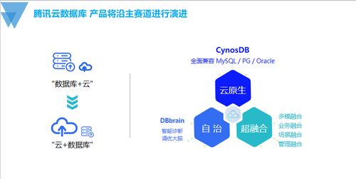 国产数据库技术发展的探索与思考